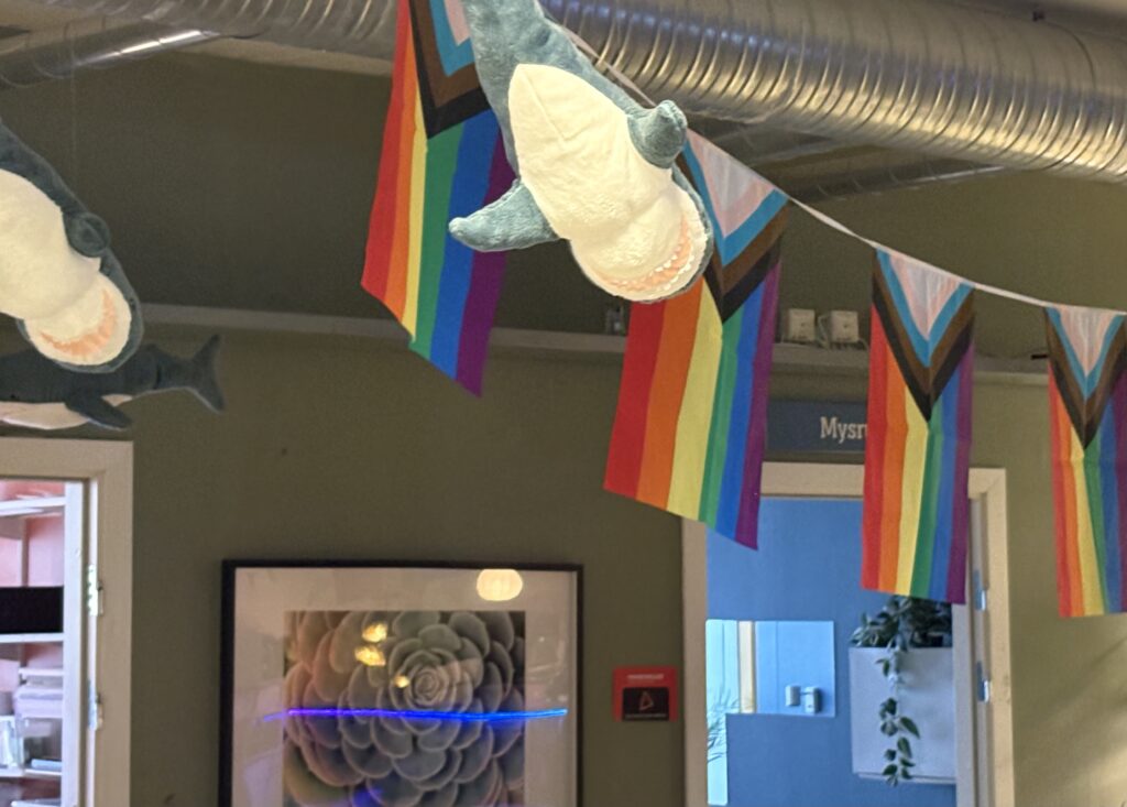 Är det inte längre okej att vara gay?
